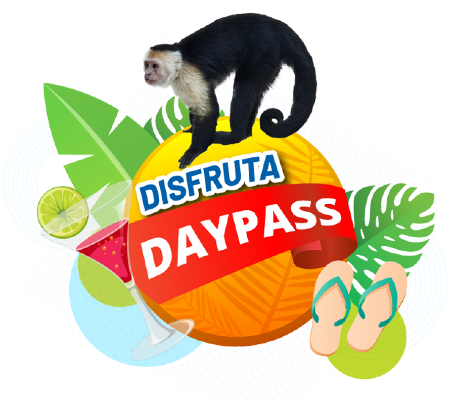 Day Pass